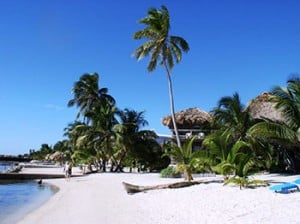 Beach at Exotic Caye Beach Resort