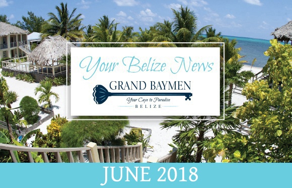 GBNewsHeader_june2018