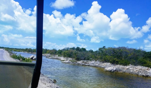 Mangrove Swamps along road to Secret Beach