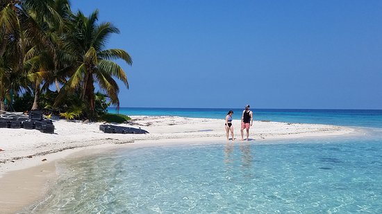 laughing-bird-caye-tripadvisor