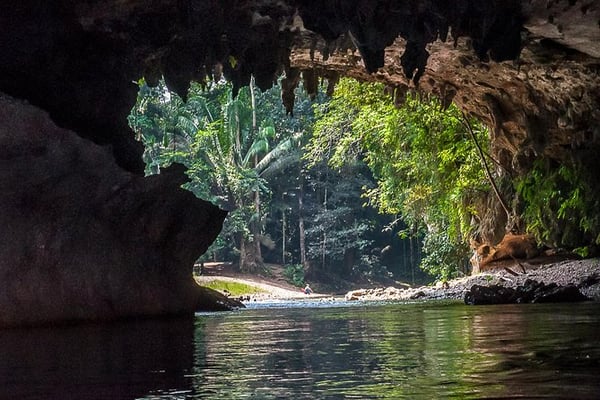 Cave Tubing Photo Courtesy of Viator.com