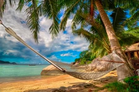 Hammock_between_Palm_Trees