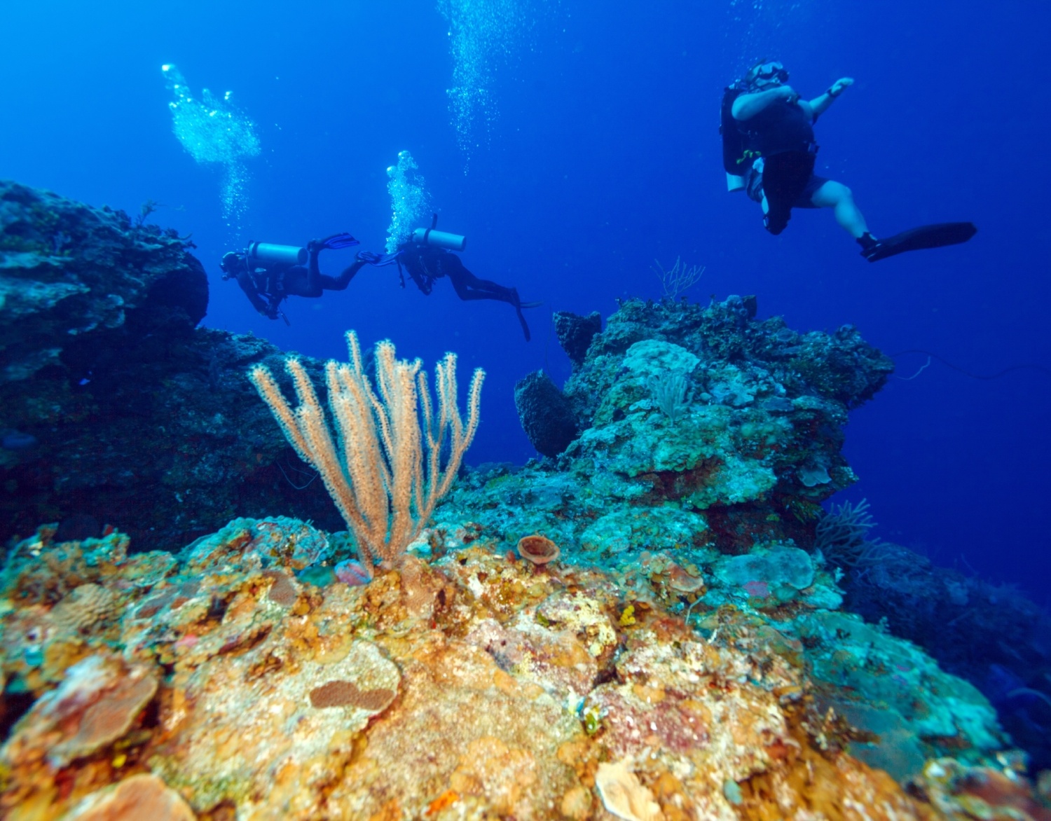 Divers, Ambergris Caye