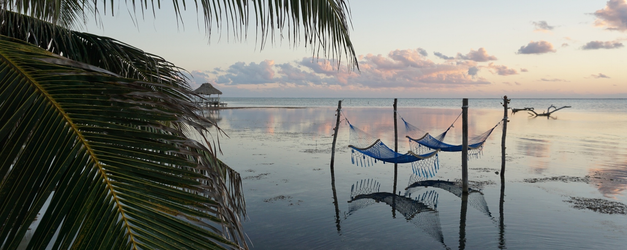 hammocks-in-belize.jpg