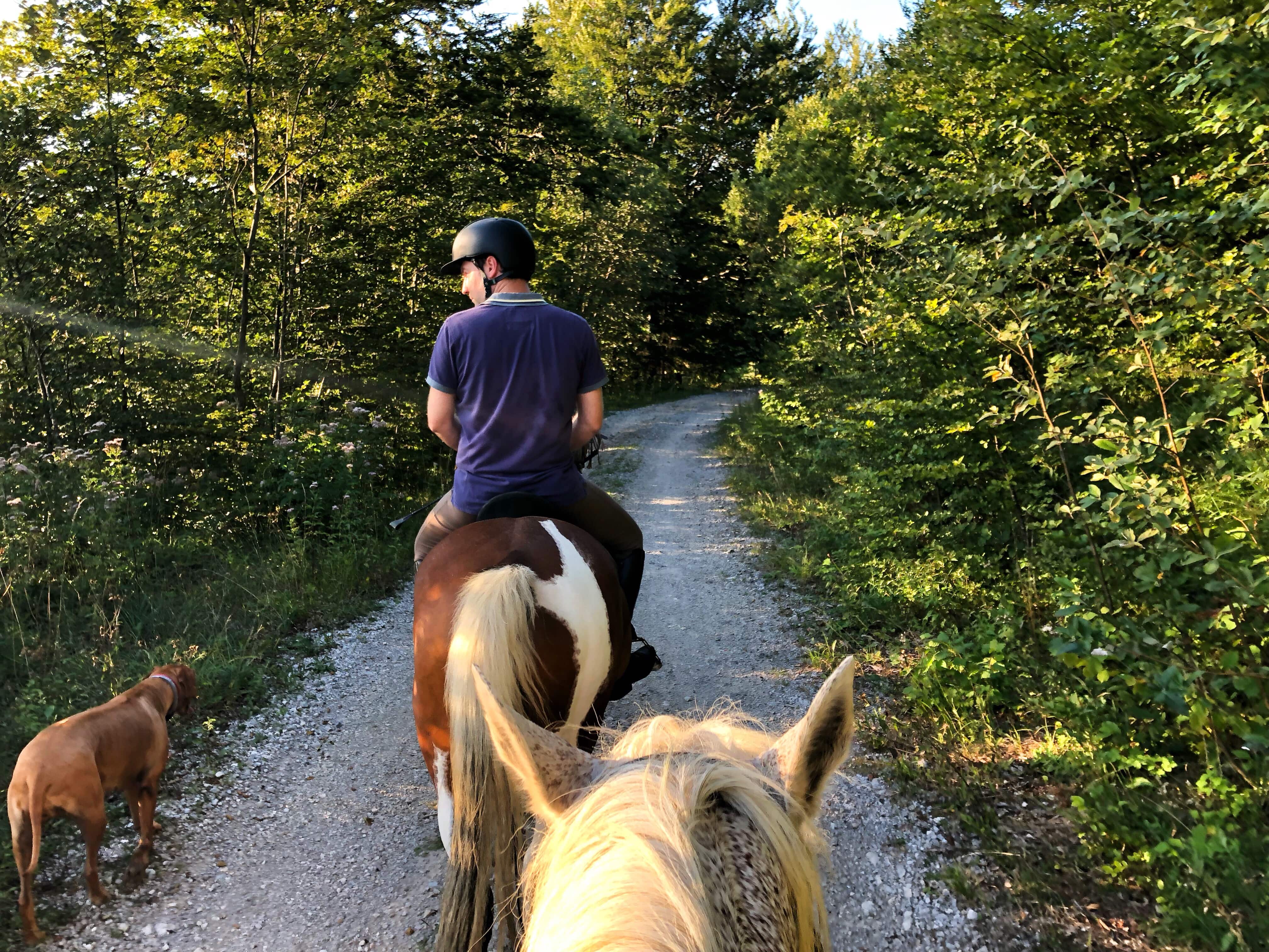 horse-riding