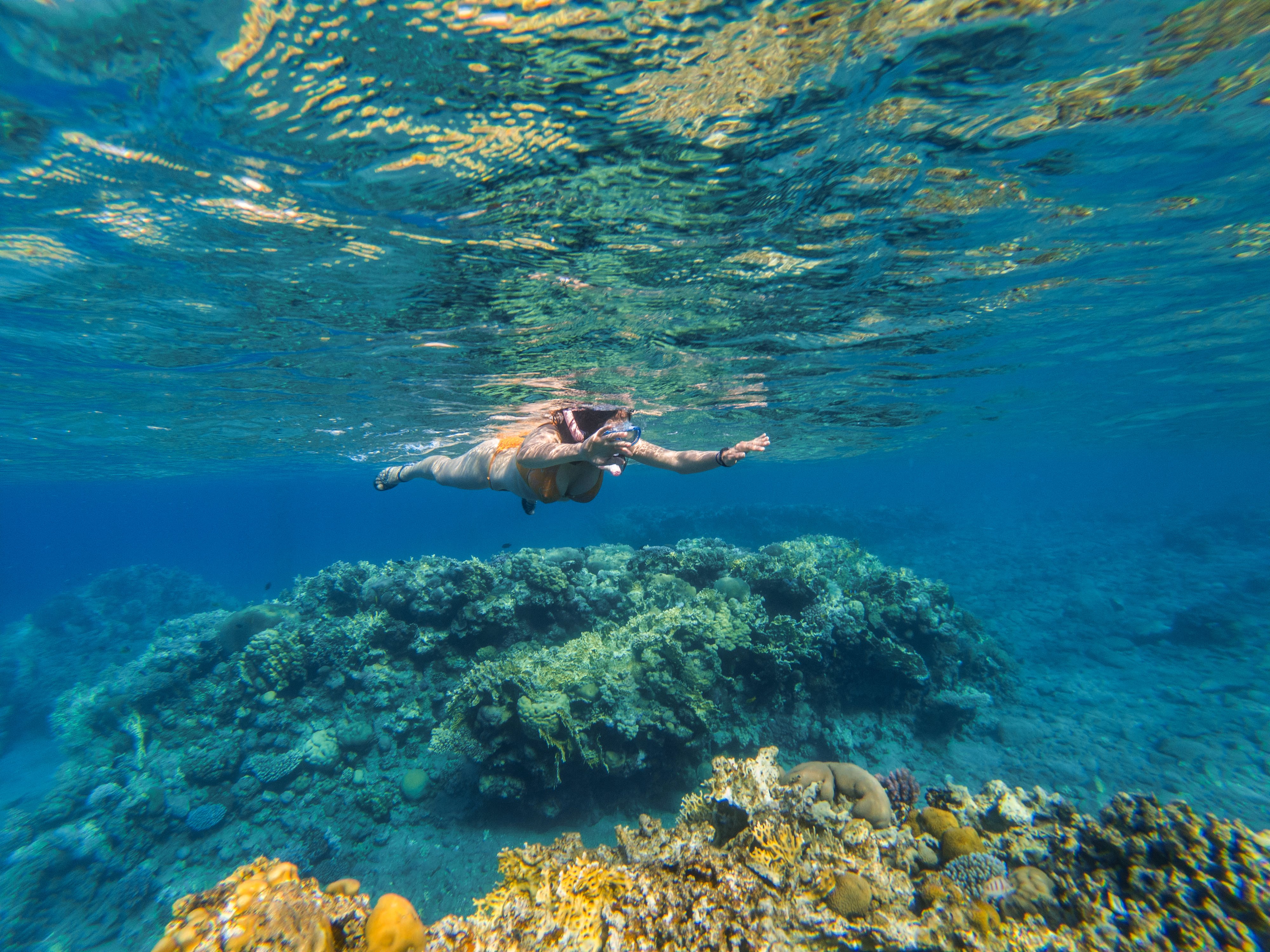 woman-snorkeling-underwater-above-coral-reef-GZYX2V4 copy