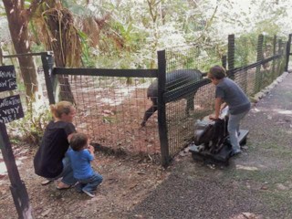 Belize Zoo Featured