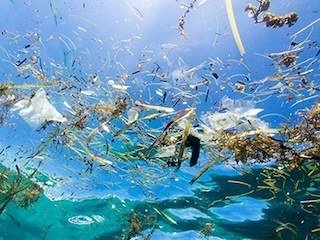 GB Ban on Plastics small