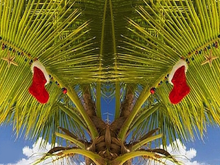 Palmtree Christmas