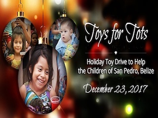 Toys for Tots small