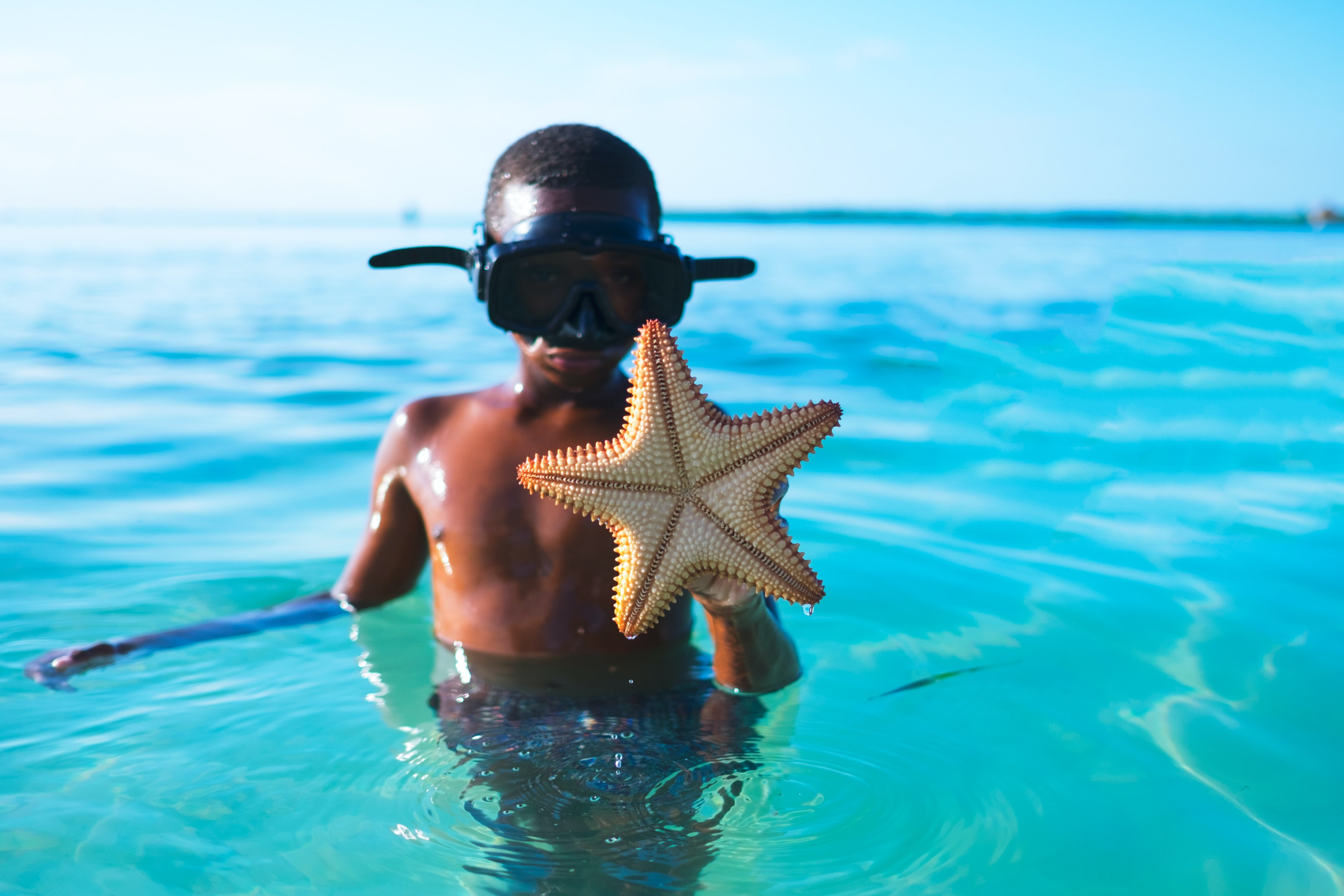 Little boy holding starfish - image by Claude Piché on Unsplash