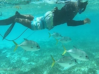 snorkelling in Belize small