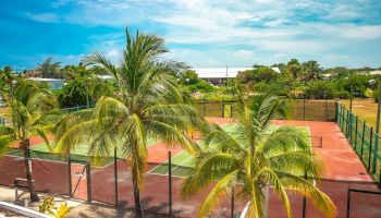A sunny tropical resort view with palm trees and red tennis courts behind fencing, overlooking a grassy yard under blue, cloud-filled skies.