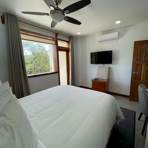 A hotel bedroom with a ceiling fan, bed, window curtains, TV, air conditioner, and a wooden door.
