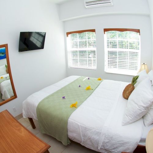 A bright bedroom with two windows, a wall TV, and neatly made twin beds with decorative towels and art.