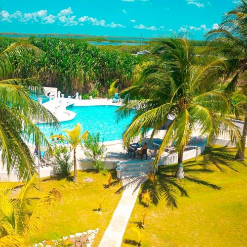 A tropical resort scene with a bright blue swimming pool, palm trees, manicured green lawns, and a view of the ocean under a blue sky, enjoying paradise.