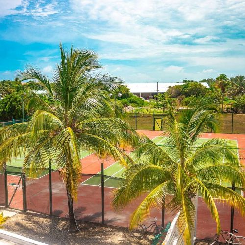 A sunny tropical scene with palm trees and fenced red tennis courts under a blue, partly cloudy sky.