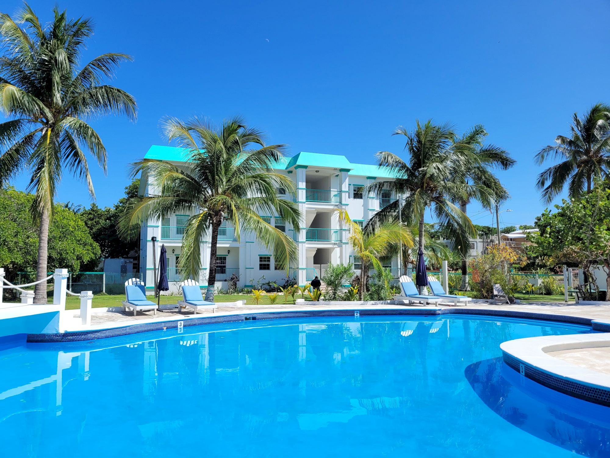 A tropical resort scene: a turquoise swimming pool, lounge chairs, tall palm trees, and a white-and-teal hotel under a clear blue sky.