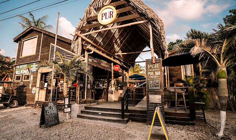 Tropical “PUR” bar with a thatched roof and signs, palm trees, and outdoor seating in sunny weather.